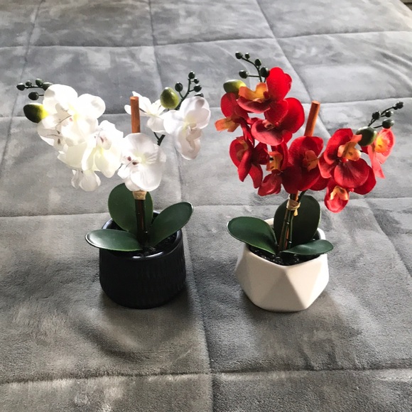 Realistic Faux Orchid Plants